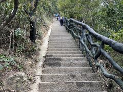 -梧桐山风景名胜区