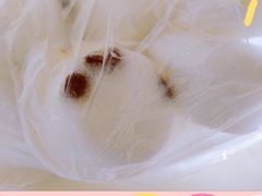 -张记捆鸡(总店)