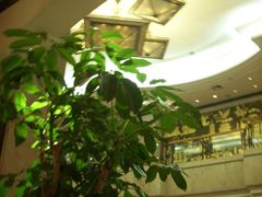 大厅-胥城大厦-胥香自助餐厅