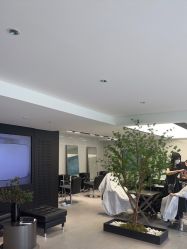 -付军剪艺JF ProSalon