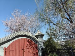 -桃花堤公园