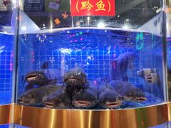 -蛙一刀·麻椒鱼火锅(金仙桥店)