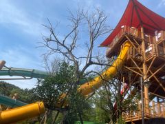 -杭州开元森泊度假乐园