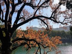 -蒋氏故居