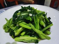 -小海丁