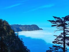 -瓦屋山景区
