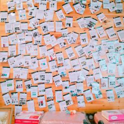 -菲林婚纱摄影工作室