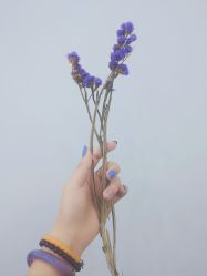 -沐白•盛妍日式美甲美睫