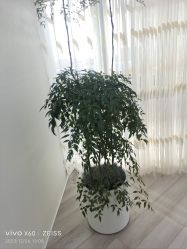 -HEYAN荷妍专业脱毛连锁机构
