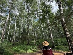 -汤旺河林海奇石景区