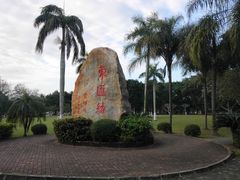 -万绿园