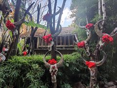 -云南民族村