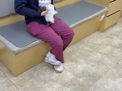 -美联众合动物医院·24h转诊中心