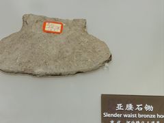 -中国农业博物馆
