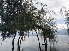 -大理洱海