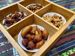 -昆虫窝子·特色云南菜(拓东路总店)