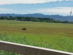 -野鸭湖国家湿地公园