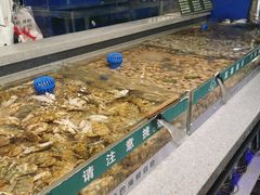 -圣罗巴海鲜自助(黑金店)