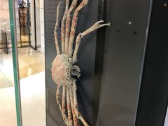 -燕莎友谊商城(亮马桥店)