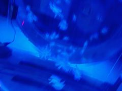 -常州海昌海洋探索馆