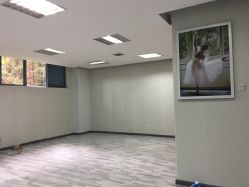 -榕树上·瑜伽普拉提