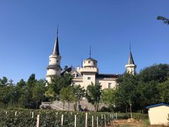 -北京张裕爱斐堡酒庄