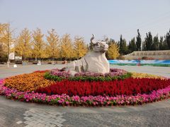 -永定河休闲森林公园