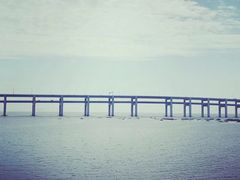 -星海湾跨海大桥