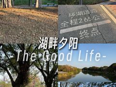 -海珠湖公园
