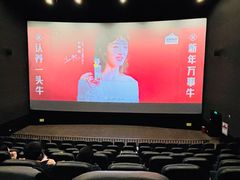 -武商摩尔影城(国广IMAX激光店)