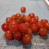 这份西昌旅游攻略[种草]一定要收藏好[调皮]