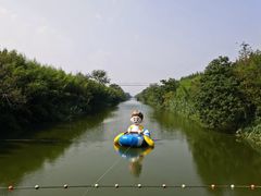 -黄海国家森林公园