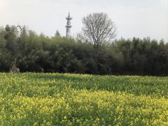 -良渚古城遗址公园
