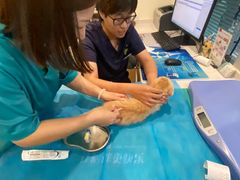 -美迦爱-牙专科·兔科·骨科诊疗中心(北苑店)