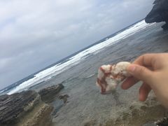-薇薇安千层蛋糕(府城店)