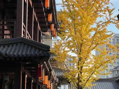 -香积寺