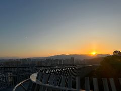 -福道