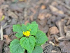 -山城巷传统风貌区