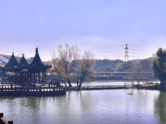 -八大山人梅湖景区