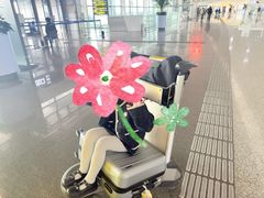 -青岛胶东国际机场