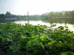 -西海子公园