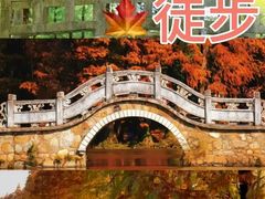 -鹤之洲湿地公园