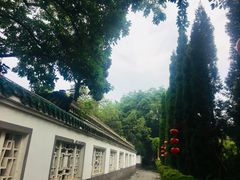 -房湖公园