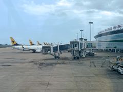 -纽瓦克自由国际机场