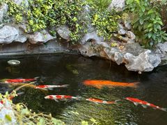-鲤院·新中式美学·庭院餐厅(夫子庙店)