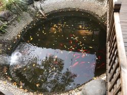 点击看大图 -爱儿美儿童摄影(朝阳公园店)