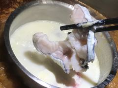 -鱼豆吉·豆浆鱼火锅(宜昌万达店)