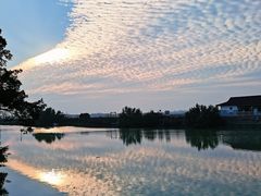 -大湾区中央湿地公园