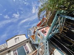 -喵屿·大理花园猫咖