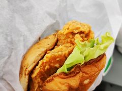 脆皮炸鸡-德克士(西站站内店)